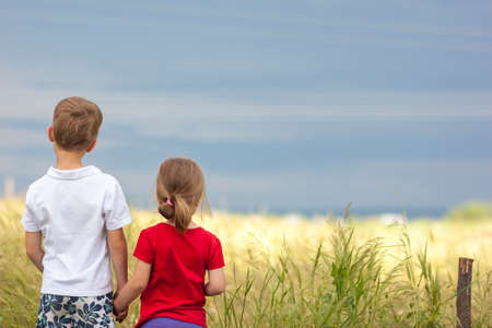 Little boy and little girl standing holding hands looking on horizontの写真素材