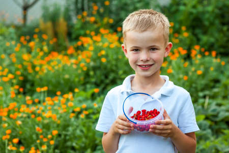 Cute little boy holding bowl with strawberriesの写真素材