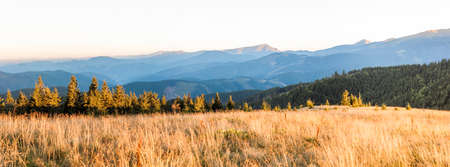 Panorama of morning sunrise in mountains and sunlit meadowの写真素材