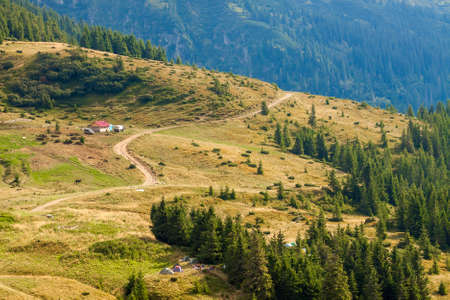 Panorama of Carpathian mountains in summer sunny dayの写真素材
