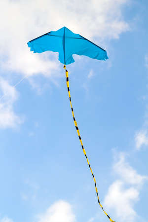 Kite flying against the blue sky on a sunny dayの写真素材