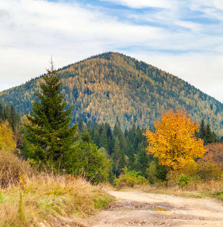 The mountain autumn landscape with colorful forest. Colorful autumn landscape in the Carpathian mountains. Deciduous forest in hills.の写真素材