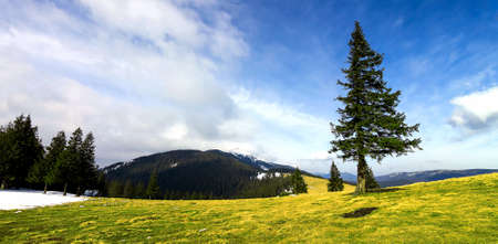Mountains panorama with dramatic sky and wide field in Carpathian mountainsの写真素材