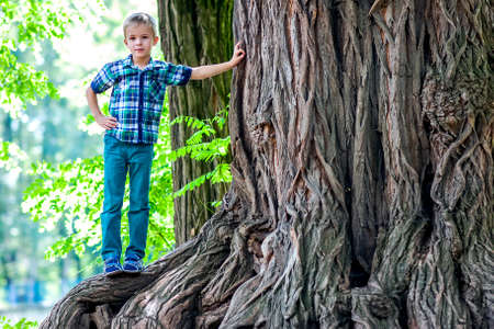 Little boy standing beside a big stump of an old tree. Happy child playing in beautiful summer park on warm sunny  day.の写真素材