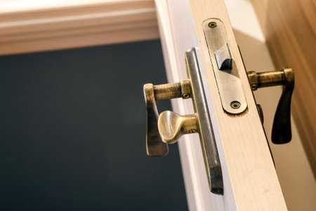 Modern, contemporary satin wooden door metal handle close-up detailの写真素材