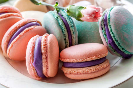 Sweet and colorful french macaroons or macaron in ceramic white plate. Pastel colours. Selective soft focus.の写真素材