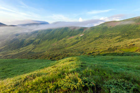 Panorama of cold foggy summer morning in the Carpathian mountainsの写真素材