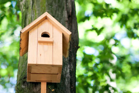 Wooden yellow bird house or nesting box on a tree in summer park or forest.