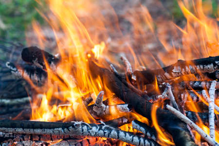 Close up of hot burning fire wood coal