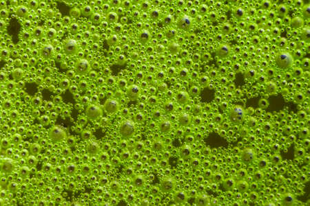 Oxygen bubbles in the bottle with water or drink.の写真素材