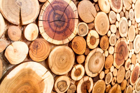 Round wooden stumps background,Trees cut section for background texture.の写真素材