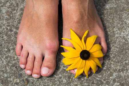 Close-up of woman feet with flower between toesの写真素材