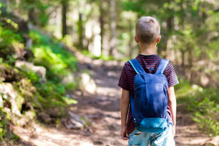 Little child boy with hikers backpack travelling in forestの写真素材