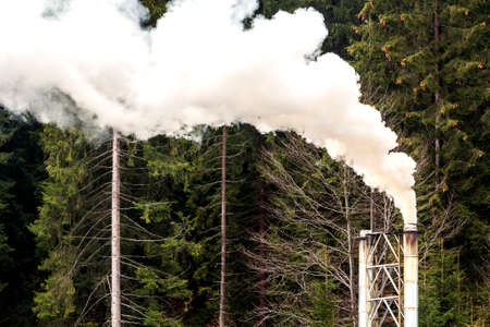 Pipe with thick white smoke in pine forest