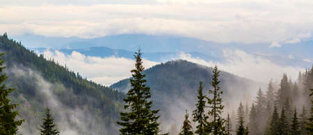 Panoramic view of foggy Carpathian mountains with low cloudsの写真素材