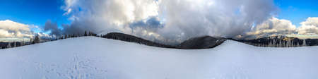 Winter mountain landscape with snow covered pine trees and low cloudsの写真素材