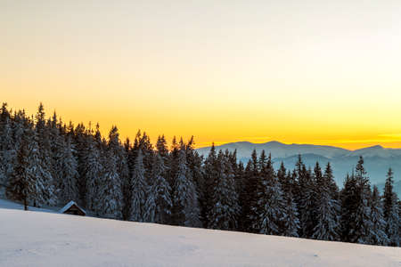 Soft sunset in winter snow covered Carpathian mountainsの写真素材