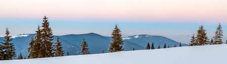 Winter snowy landscape in mountains with pine trees and white hillsの写真素材