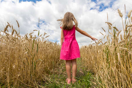 Young child girl in red dress with long hair standing in wheat field. Rear viewの写真素材