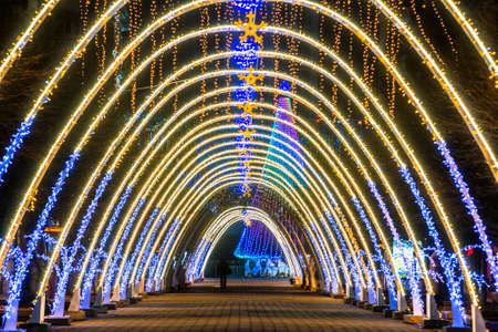 Night view of New Year or Christmas decorative arches with bright lights during winter holidays in Ivano-Frankivsk city, Ukraine.の写真素材