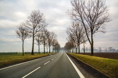 Curved Two Lane Country Road Winding Through Trees