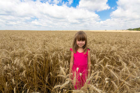 Pretty child girl standing in yellow wheat summer fieldの写真素材