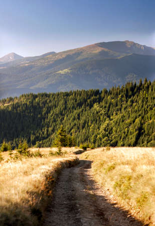 Beautiful autumn path to the forest in mountains. Gravel dirt road leading to mountain peaks far...