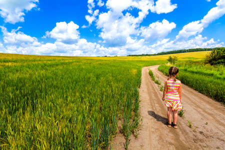 Little child girl walking alone on summer dirt road in green crop field.の写真素材