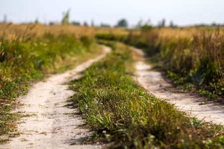 Rural landscape scene with dirt road between green grass fields.の写真素材