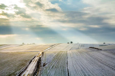 Sunrise over winter green field. Rural landscapeの写真素材
