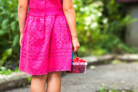 Little girl in dress child hand holdind small basket of ripe raspberries. Close-upの写真素材