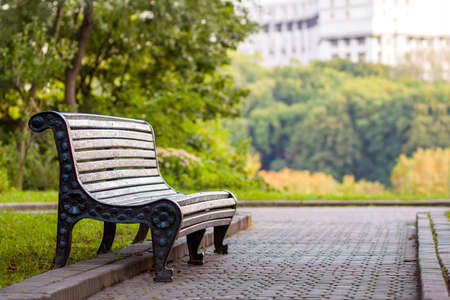 Old empty wooden bench in a shadow of big green tree on bright summer day. Peace, rest, quiet and relaxation concept.の写真素材