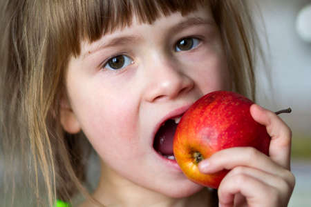 A cute little curly toothless girl smiles and holds a red apple. Portrait of a happy baby eating a red apple. The child loses milk teeth. Healthy food nutrition.の写真素材