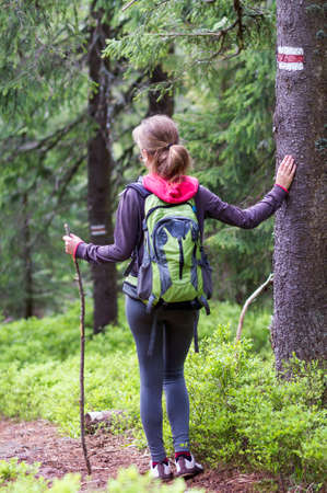 Back view of slim athletic blond tourist hiker girl with stick and backpack walking through lit by...