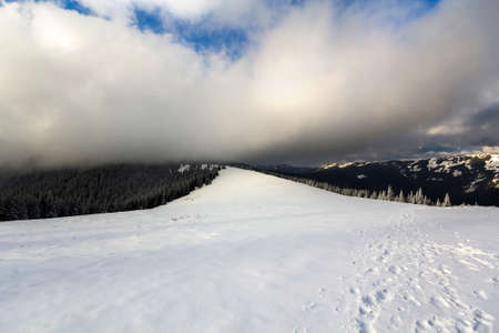 Winter mountain landscape with snow covered pine trees and low cloudsの写真素材
