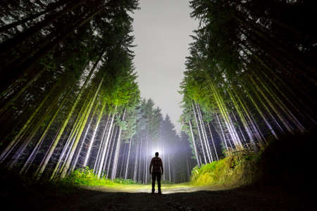 Wide angle shot, back view of athletic man with head flashlight standing on forest ground road among tall brightly illuminated fir-trees under beautiful dark blue night sky. Traveling and adventure.の写真素材