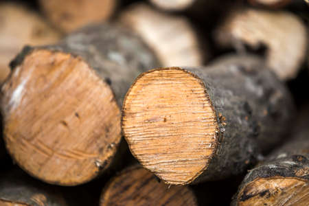 Neatly piled stack of chopped trunks outdoors on bright sunny day, abstract background, Fire wood logs prepared for winter, ready for burning. Environment protection concept.の写真素材