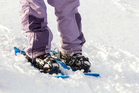 Close-up of man skier feet and legs in short plastic bright professional wide skis on white snow sunny copy space background. Active lifestyle, winter extreme sports and recreation concept.の写真素材