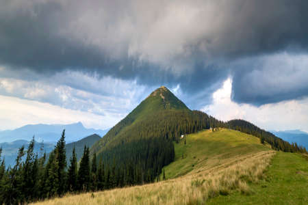 Panoramic view of green grassy valley, pine trees and rural small peasant huts at foot of distant woody mountain under dark blue cloudy sky before thunderstorm. Beauty of nature, tourism, traveling.の写真素材