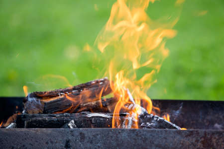 Brightly burning in metal box logs firewood for barbecue outdoor on sunny day. Orange high flame and...