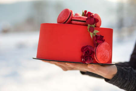Female hands holding plate with delicious yummy homemade red cake with macarons decorated with flowers on light blurred copy space background.の写真素材