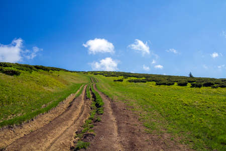 Dirt car track on green grassy hill leading to woody mountains ridge on bright blue sky copy space background. Tourism and traveling concept.の写真素材