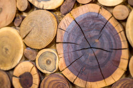 Perspective view of round wooden unpainted solid natural ecological soft colored brown and yellow crackled stumps background, tree cut sections with annual rings different sizes,background texture.の写真素材