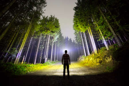 Back view of man with head flashlight standing on forest ground road among tall brightly illuminated...