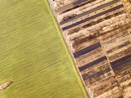 Agricultural landscape from air. Straight narrow ground road between sunny green, dry and brown...