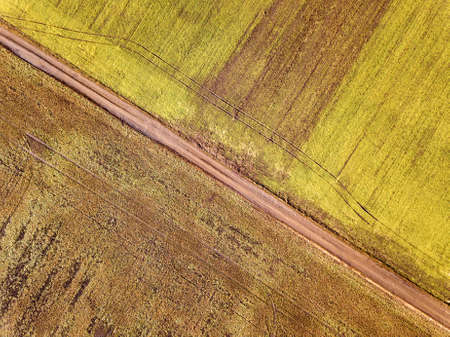 Agricultural landscape from air. Straight narrow ground road between sunny green and brown fields.