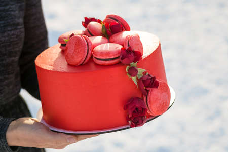 Female hands holding plate with delicious yummy homemade red cake with macarons decorated with...