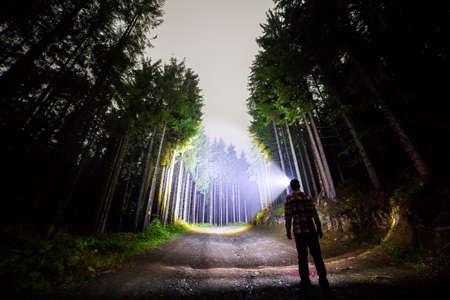 Back view of man with head flashlight standing on forest ground road among tall brightly illuminated spruce trees under beautiful dark blue sky. Night wood landscape and adventure.の写真素材