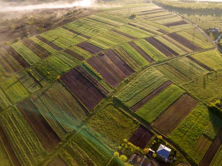Top view of rural landscape on sunny spring day. Farm cottage, houses and barns on green and black...