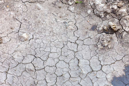 Cracked dry dirt flat surface, abstract texture, copy space background, retro pattern.の写真素材